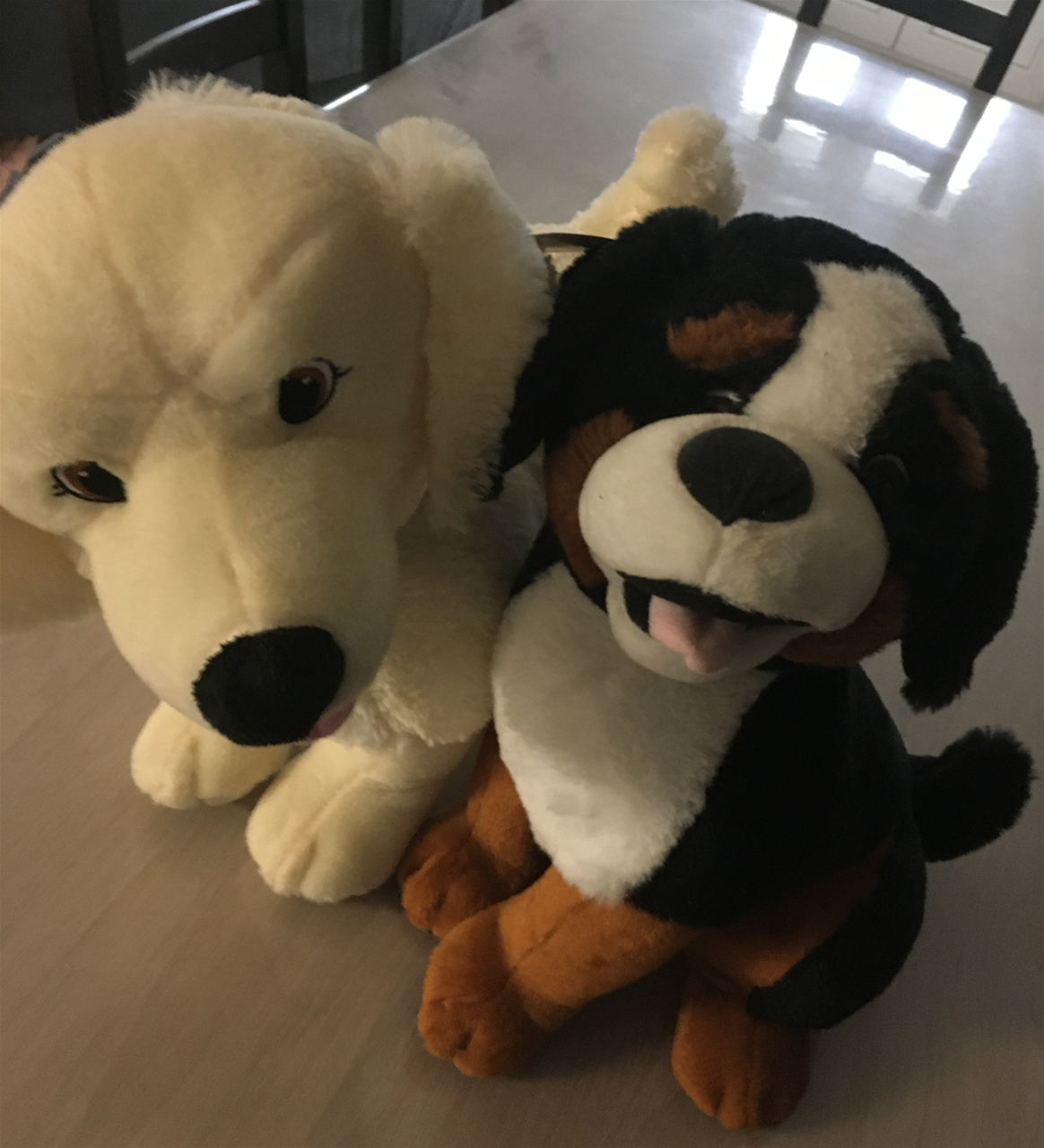 Education canine - Peluches